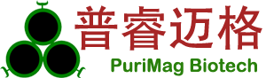 生物磁珠專家 - Purimag Bead 官網(wǎng) | 高品質(zhì)生物磁珠解決方案